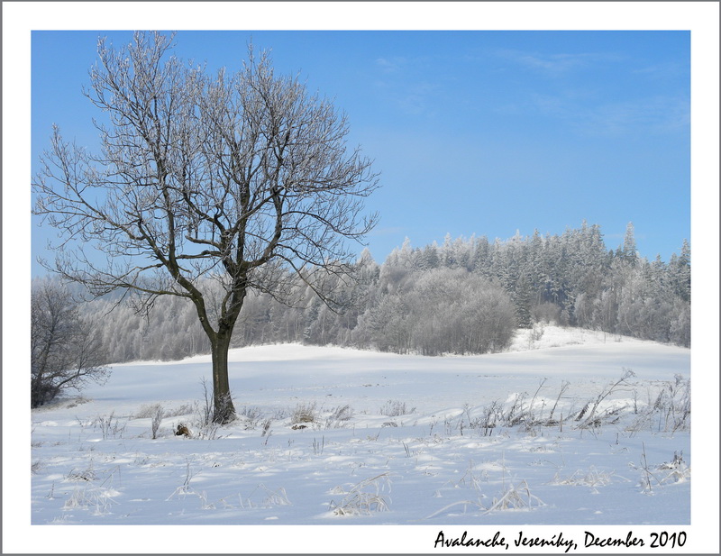 DSCN7641 Avalanche sjezdovka December 2010