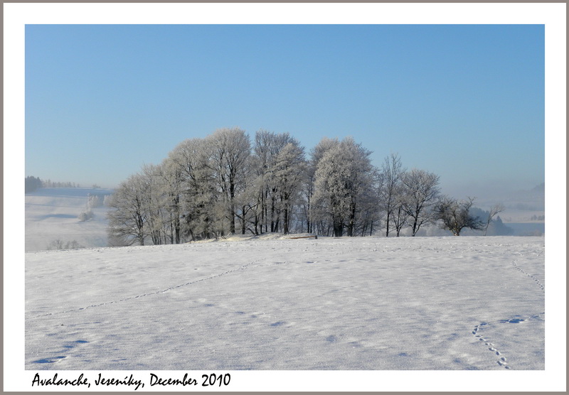 DSCN7670 Avalanche Jeseniky December 2010