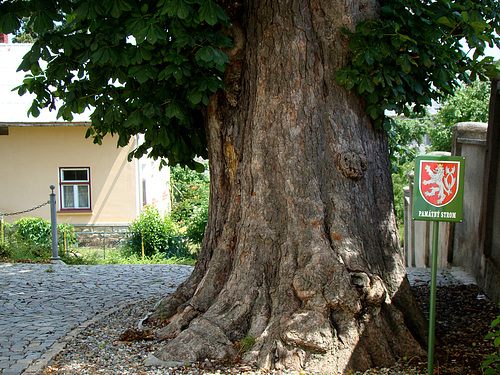frystak----czech-republic