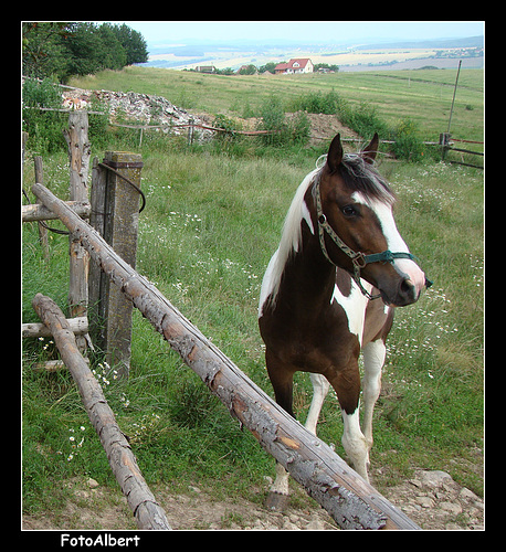 Moravian Wallachia (Czech: Valašsko) 2