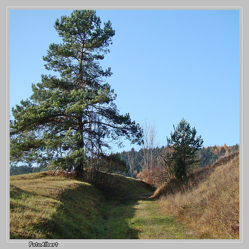 strabisov-oulehla---national-nature-reserve-czech-republic